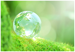 Environmental and CSR activities
